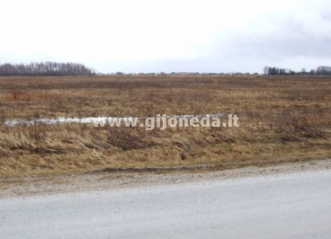 Parduodamas komercinės paskirties sklypas Trušelių k., Klaipėdos r. sav., 500 a ploto