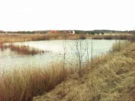 Parduodamas žemės ūkio paskirties sklypas Kisinių k. dal., Klaipėdos r. sav., 12 a ploto 2