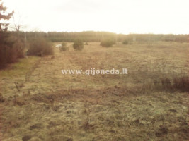 Parduodamas žemės ūkio paskirties sklypas Kisinių k. dal., Klaipėdos r. sav., 12 a ploto 5