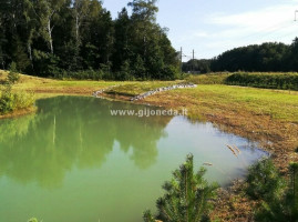 Parduodamas kitos paskirties sklypas Šakinių k., Klaipėdos r. sav., 45.15 a ploto 1