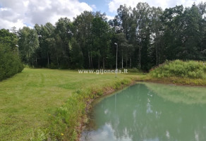 Parduodamas kitos paskirties sklypas Šakinių k., Klaipėdos r. sav., 45.15 a ploto 3