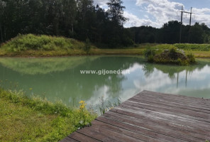 Parduodamas kitos paskirties sklypas Šakinių k., Klaipėdos r. sav., 45.15 a ploto 5