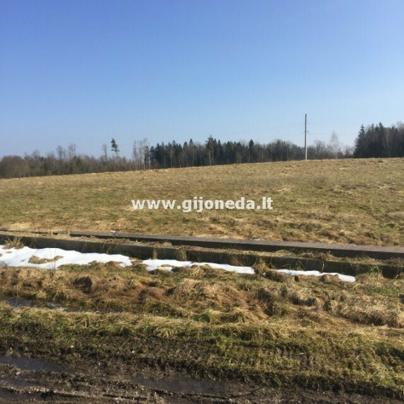 Parduodamas žemės ūkio paskirties sklypas Mikų k., Klaipėdos r. sav., 5.68 a ploto 1