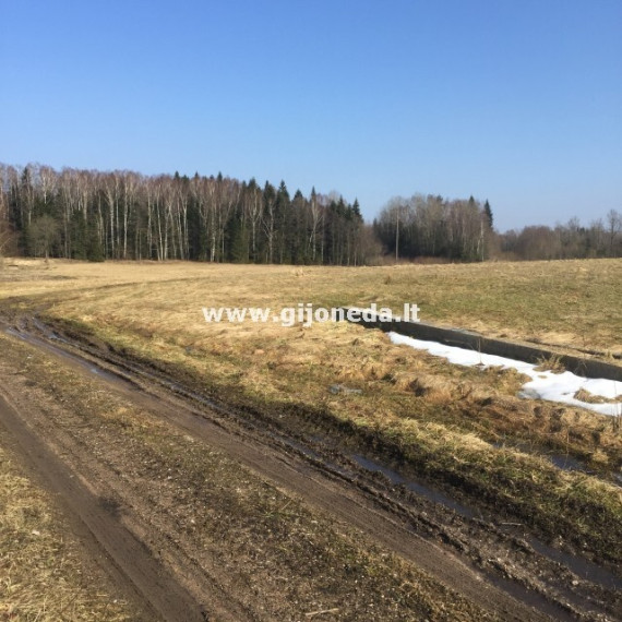 Parduodamas žemės ūkio paskirties sklypas Mikų k., Klaipėdos r. sav., 5.68 a ploto 5