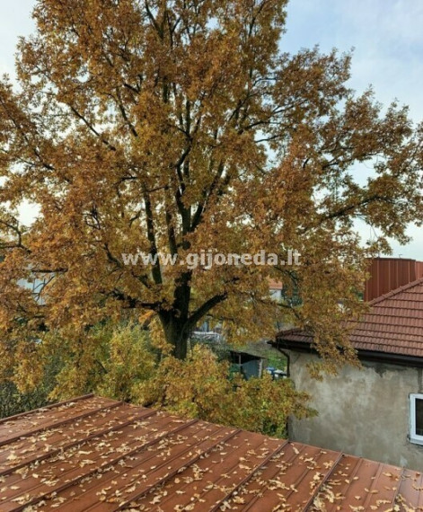 Parduodamas namas Laukų g., Mokyklos, Klaipėdos m., Klaipėdos m. sav., 170 m2 ploto 4