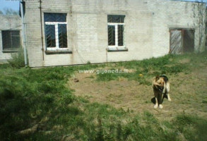 Parduodamas namas Girkalių k., Klaipėdos r. sav., 130 m2 ploto, 1 aukštai 5