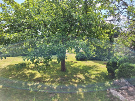Parduodamas kitos paskirties sklypas Jazminų g.7, Kurmaičių k., Mažeikių r. sav., 11.59 a ploto 13