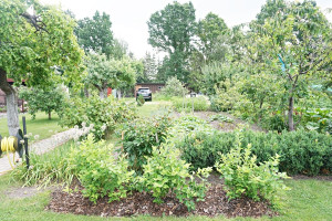 Parduodamas namas Vyturio Sodų, Rėkyva, Šiaulių m., Šiaulių m. sav., 35.51 m2 ploto, 1 aukštai 14