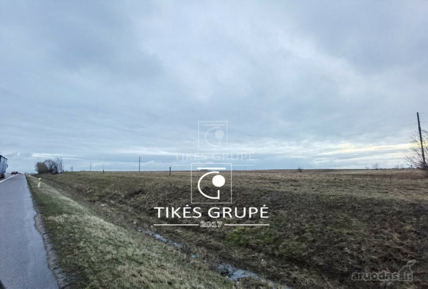 Parduodamas  sklypas Arimų g., Klaipėdos m., Klaipėdos m. sav., 202 a ploto 5