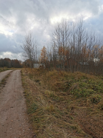 Parduodamas sklypas Grybelių k., 11.7 a ploto 5