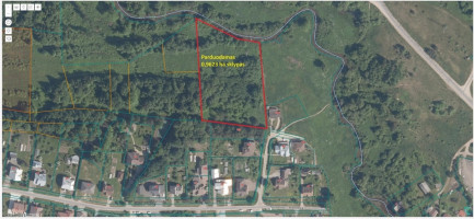 Parduodamas sklypas Naujasodžio k., 96.23 a ploto 2