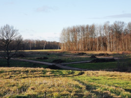 Parduodamas sklypas Nemeikščių k., 12 a ploto 2
