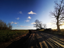 Parduodamas sklypas Nemeikščių k., 12 a ploto 6