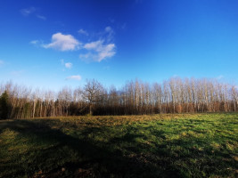 Parduodamas sklypas Nemeikščių k., 12 a ploto 7