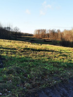 Parduodamas sklypas Nemeikščių k., 12 a ploto 10