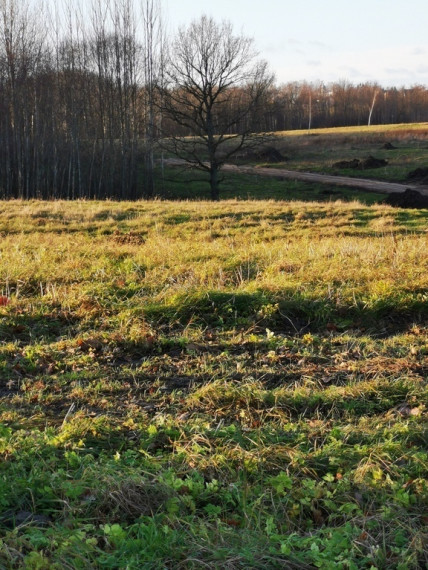 Parduodamas sklypas Nemeikščių k., 12 a ploto 13