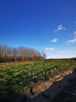 Parduodamas sklypas Nemeikščių k., 12 a ploto 15