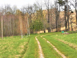 Parduodamas sklypas Davainių Girios vs., 299 a ploto 7