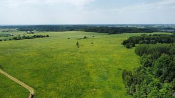 Parduodamas sklypas Davainių Girios vs., 299 a ploto 13