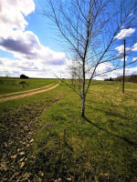 Parduodamas sklypas Davainių Girios vs., 299 a ploto 19