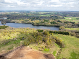Parduodamas  sklypas Želiūnų k., Rokiškio r. sav., 450 a ploto 3