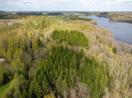 Parduodamas  sklypas Želiūnų k., Rokiškio r. sav., 450 a ploto 6
