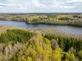 Parduodamas  sklypas Želiūnų k., Rokiškio r. sav., 450 a ploto 8