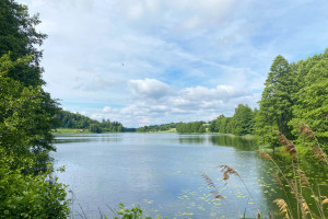PARDUODAMAS 3,61 HA PLOTO ŽEMĖ SU ~500 M EŽERO PAKRANTĖS IR SENA SODYBA 5