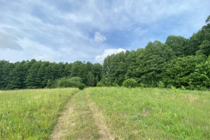 PARDUODAMAS 3,61 HA PLOTO ŽEMĖ SU ~500 M EŽERO PAKRANTĖS IR SENA SODYBA 7