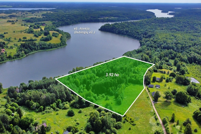 Parduodamas sklypas prie Dubingių ežero, 3,9215 ha ploto 2
