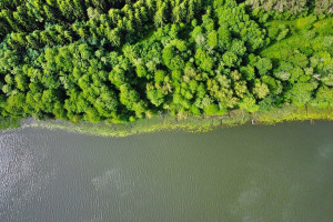 Parduodamas sklypas prie Dubingių ežero, 3,9215 ha ploto 7
