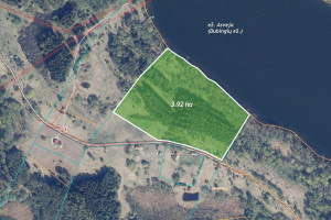 Parduodamas sklypas prie Dubingių ežero, 3,9215 ha ploto 8