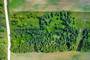 Parduodamas sklypas Žūkų k., 134 a ploto 11