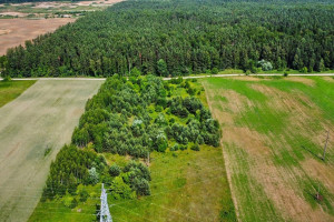 Parduodamas sklypas Žūkų k., 134 a ploto 7