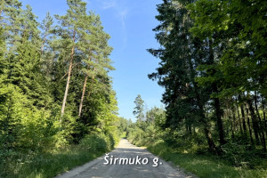 Parduodamas sklypas Žūkų k., 134 a ploto 15