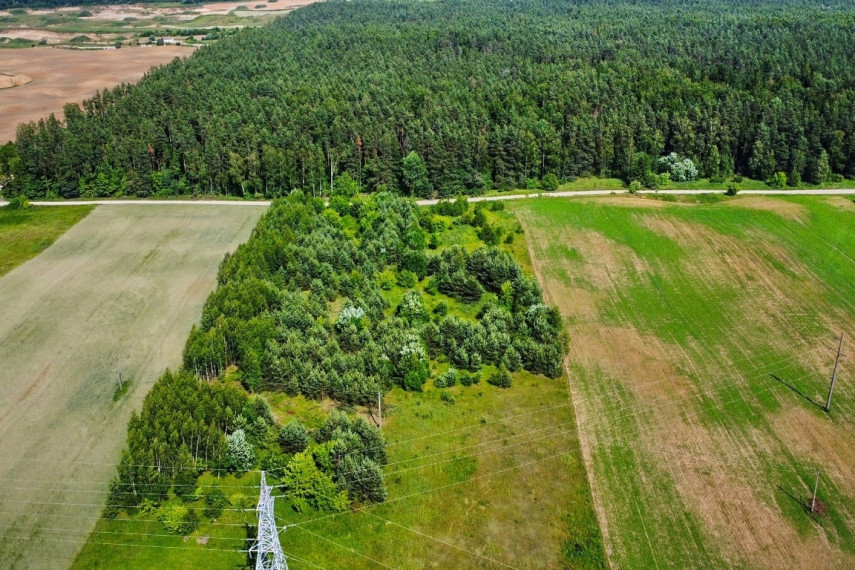 Parduodamas sklypas Žūkų k., 134 a ploto 9
