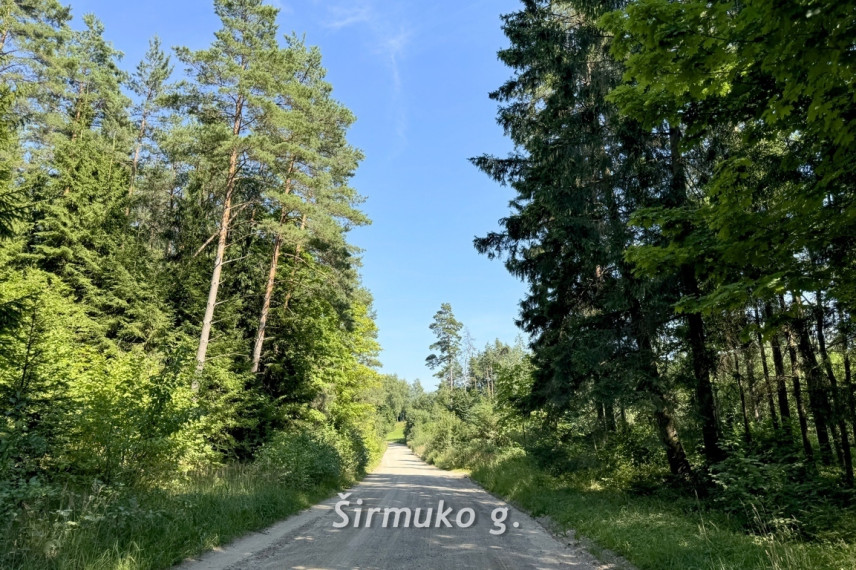 Parduodamas sklypas Žūkų k., 134 a ploto 19