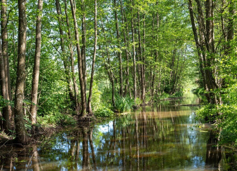 Parduodamas namas Miškininkų g., Valkininkų mstl., 64.21 kv.m ploto