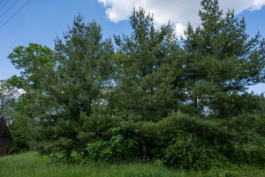 Parduodamas namas Miškininkų g., Valkininkų mstl., 64.21 kv.m ploto 4