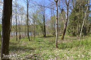 Parduodamas sklypas Kudrionių k. 1B, 95.7 a ploto 12