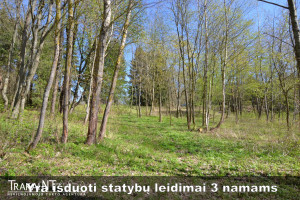 Parduodamas sklypas Kudrionių k. 1B, 95.7 a ploto 13