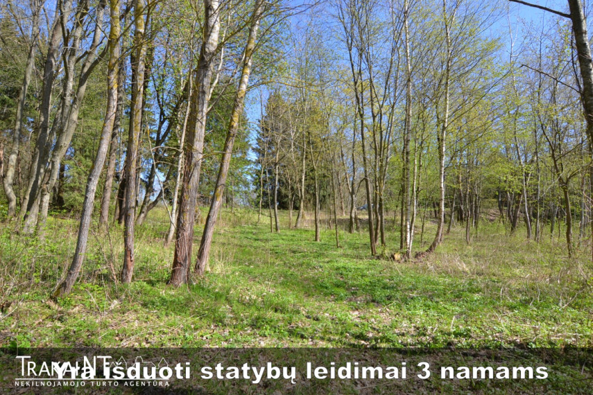 Parduodamas sklypas Kudrionių k. 1B, 95.7 a ploto 13