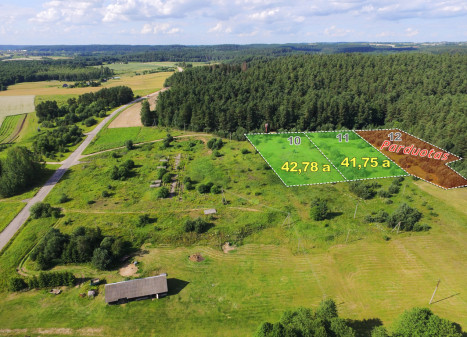 Parduodamas sklypas Vilkokšnio k., 41.75 a ploto