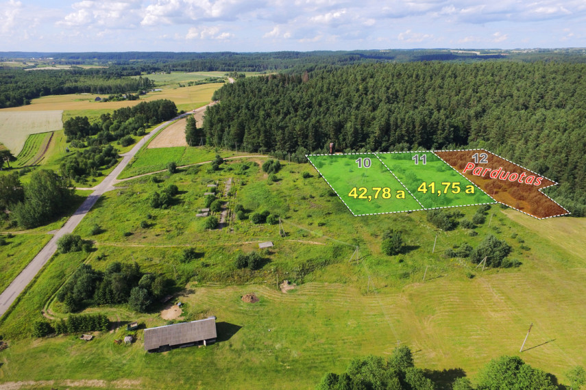Parduodamas sklypas Vilkokšnio k., 41.75 a ploto 1