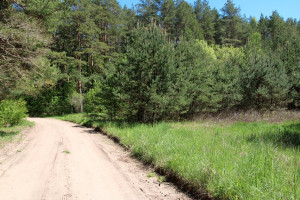 Parduodamas sklypas Vilkokšnio k., 41.75 a ploto 5