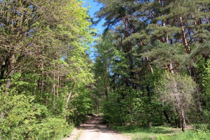Parduodamas sklypas Vilkokšnio k., 41.75 a ploto 6