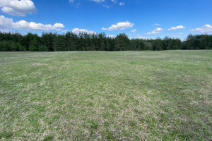 Parduodamas namų valdos sklypas Liepynų kaime, Paluknio sen., Trakų r. 10