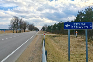 Parduodamas namų valdos sklypas Liepynų kaime, Paluknio sen., Trakų r. 16