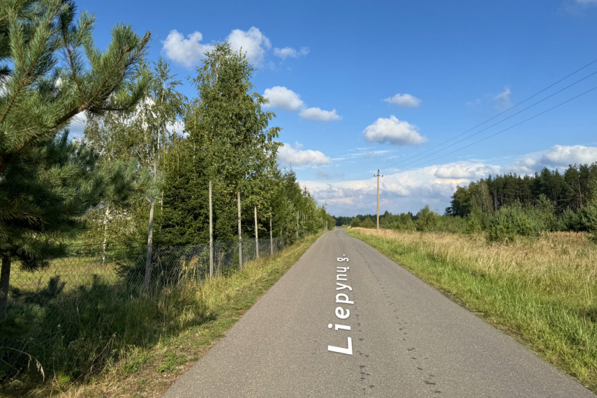 Parduodami namų valdos sklypai Liepynų kaime, Paluknio sen., Trakų r. 11