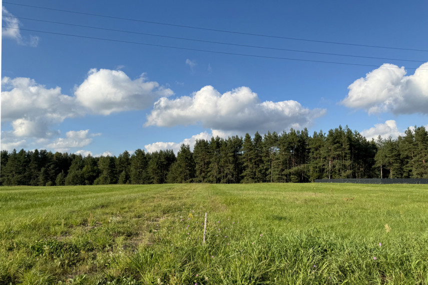 Parduodami namų valdos sklypai Liepynų kaime, Paluknio sen., Trakų r. 14